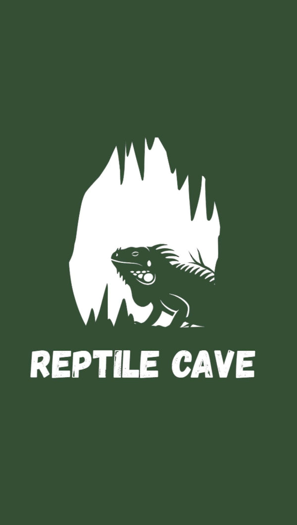 Reptile Cave